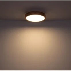 Globo LED Deckenleuchte Rainer Ø 40cm 19 Globo LED Deckenleuchte Rainer Ø 40cm -Globo Lighting 503601 3749 4174524 19