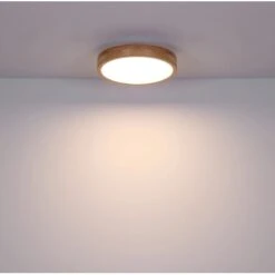 Globo LED Deckenleuchte Rainer Ø 40cm 20 Globo LED Deckenleuchte Rainer Ø 40cm -Globo Lighting 503601 3749 4174524 20