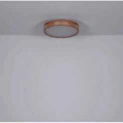 Globo LED Deckenleuchte Rainer Ø 40cm 21 Globo LED Deckenleuchte Rainer Ø 40cm -Globo Lighting 503601 3749 4174524 21