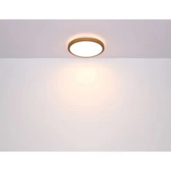 Globo LED-Deckenleuchte Bruno 1-flammig Schwarz Matt 390 X 390 X 90 Mm -Globo Lighting 9007371433469 3749 S 08