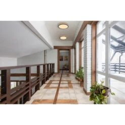 Globo LED-Deckenleuchte Doro 1-flammig Graphit 300 X 85 Mm