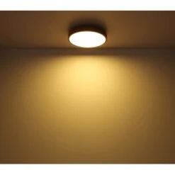 Globo LED-Deckenleuchte Doro 1-flammig Graphit 300 X 85 Mm 14 Globo LED-Deckenleuchte Doro 1-flammig Graphit 300 X 85 Mm -Globo Lighting 9007371442553 3749 S 04