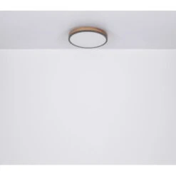 Globo LED-Deckenleuchte Doro 1-flammig Graphit 300 X 85 Mm 16 Globo LED-Deckenleuchte Doro 1-flammig Graphit 300 X 85 Mm -Globo Lighting 9007371442553 3749 S 06
